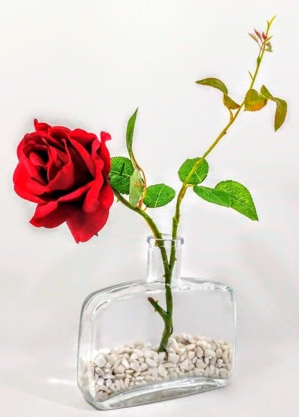 Rosa Artificial Silicone + Garrafa De Vidro Quadrada - 1