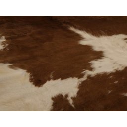 Tapete de Couro Pele Clássico Marrom e Branco - 5