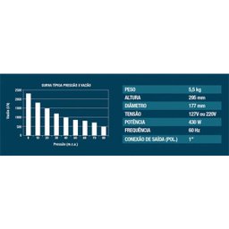Bomba Submersa Lorenzetti BSL-900 127V - 2