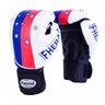 Kit Boxe Muay Thai Fheras New Top Luva+Band+Bucal+Caneleira Free Star 015 - 2