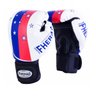 Kit Boxe Muay Thai Fheras New Top Luva+Band+Caneleira Free Star 010 - 2