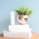 Ver imagem 5 de Arranjo de Folhagem Artificial no Vaso Rose Gold Pequeno|Linha Permanente Formosinha