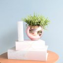 Ver imagem 3 de Arranjo de Folhagem Artificial no Vaso Rose Gold Pequeno|Linha Permanente Formosinha