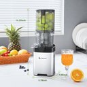 Ver mais imagens de Amzchef Espremedor de Prensagem a Frio com Chute Largo para Frutas Inteiras (branco)