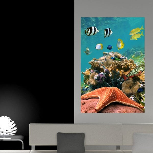Painel Adesivo de Parede - Fundo do Mar - N3105 - 1