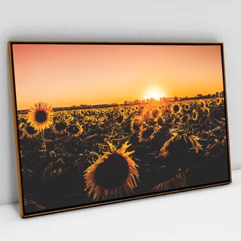 Quadro Decorativo em Canvas Girassóis ao Entardecer TaColado Moldura Flutuante 4,5cm Freijó 90 x 60c