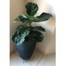 Suporte Tripé de Ferro P/ Vasos e Plantas 24x8cm - 5