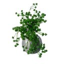 Ver imagem 7 de 3 Plantas Artificiais Sedum Desértica 36cm Decoração Moderna e Durável