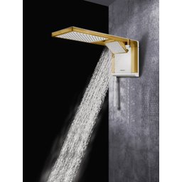 Chuveiro Lorenzetti Acqua Duo - Branco - 220v:dourado Matte - 3