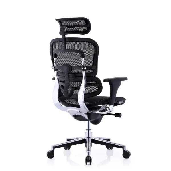 Raynor Eurotech Ergochair Elite V2 Vers o 2021 MadeiraMadeira