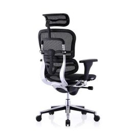 Raynor Eurotech Ergochair Elite V2 Versão 2021 - 6