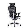 Raynor Eurotech Ergochair Elite V2 Versão 2021 - 6