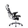 Raynor Eurotech Ergochair Elite V2 Versão 2021 - 5