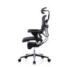 Raynor Eurotech Ergochair Elite V2 Versão 2021 - 2