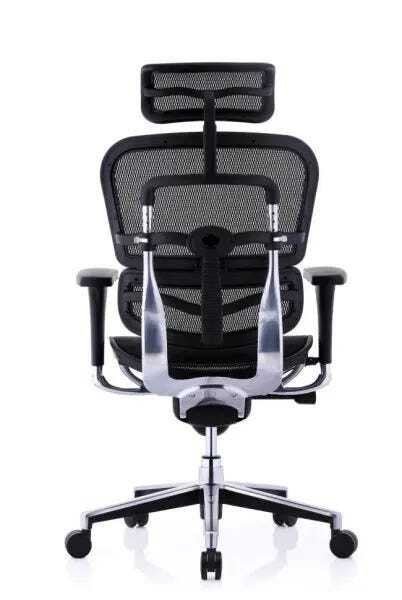 Raynor best sale eurotech ergochair