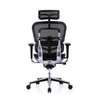Raynor Eurotech Ergochair Elite V2 Versão 2021 - 4