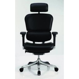 Cadeira Raynor Eurotech Ergochair V2 2016 Plus Elite Giratória Ergonomica Diretor Presidente - 1
