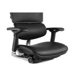 Cadeira Raynor Eurotech Ergochair V2 2016 Plus Elite Giratória Ergonomica Diretor Presidente - 2