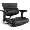 Cadeira Raynor Eurotech Ergochair V2 2016 Plus Elite Giratória Ergonomica Diretor Presidente - 2