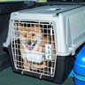 Caixa Transporte Atlas 40 Profissional Para Cães Até 20 Kg - 3