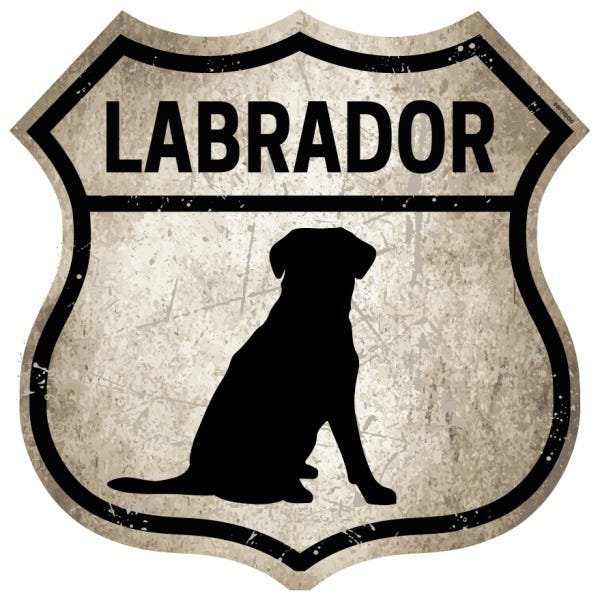 Placa Decoração Route 66 Raças Cachorro Labrador - 1