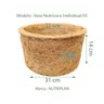 VASO PARA PLANTA XAXIM FIBRA DE COCO NATURAL Nº05 - 05 UND - 2