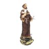 Imagem de São Francisco Protetor dos Animais Resina 17 cm - 1