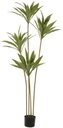 Ver imagem 1 de Planta Artificial Arvore Dracena Real Toque C/pote X100 Verde 1,60cm