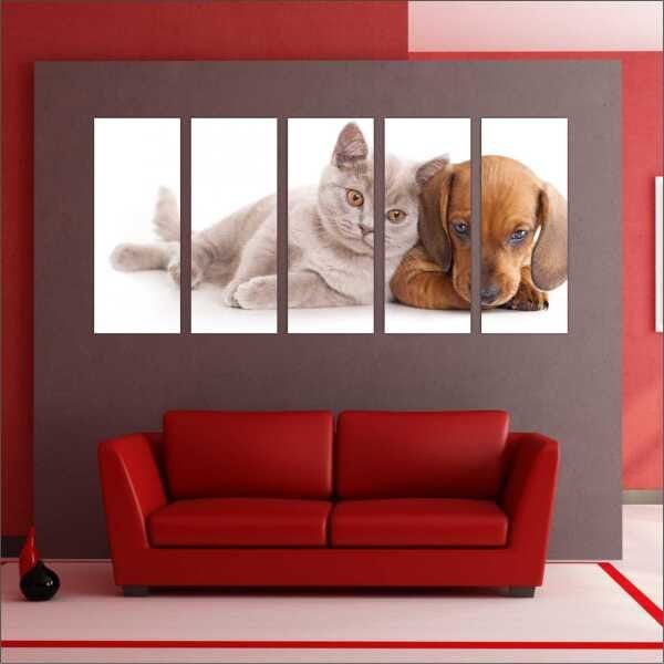 Quadro Decorativo Animais Cão e Gato PetShop Salas Interiores Mosaico 5 Peças Com Moldura - 5
