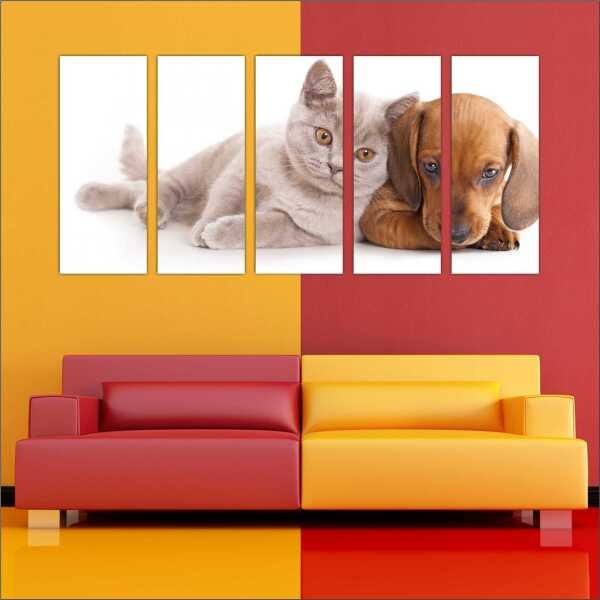 Quadro Decorativo Animais Cão e Gato PetShop Salas Interiores Mosaico 5 Peças Com Moldura - 3