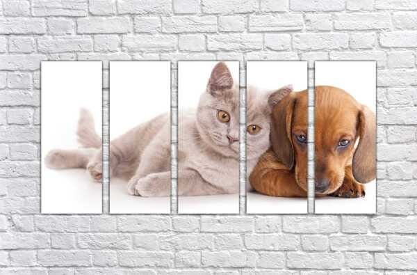 Quadro Decorativo Animais Cão e Gato PetShop Salas Interiores Mosaico 5 Peças Com Moldura - 2