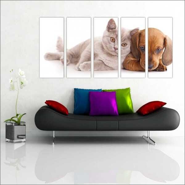 Quadro Decorativo Animais Cão e Gato PetShop Salas Interiores Mosaico 5 Peças Com Moldura - 1