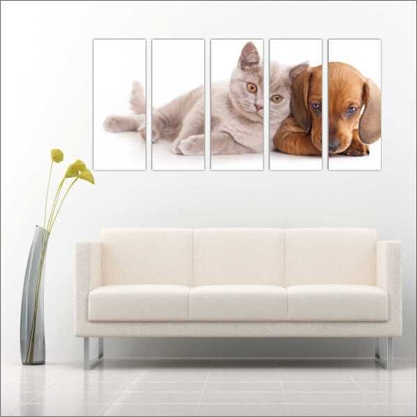 Quadro Decorativo Animais Cão e Gato PetShop Salas Interiores Mosaico 5 Peças Com Moldura - 4