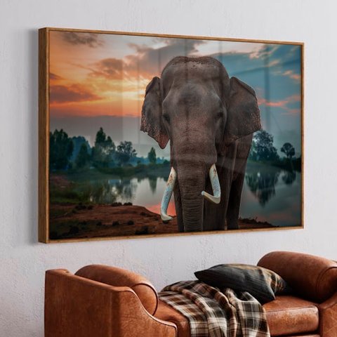 Quadro Decorativo Elefante na Natureza em Moldura Caixa Tacolado Moldura Trad 1cm Madeira Escura sem