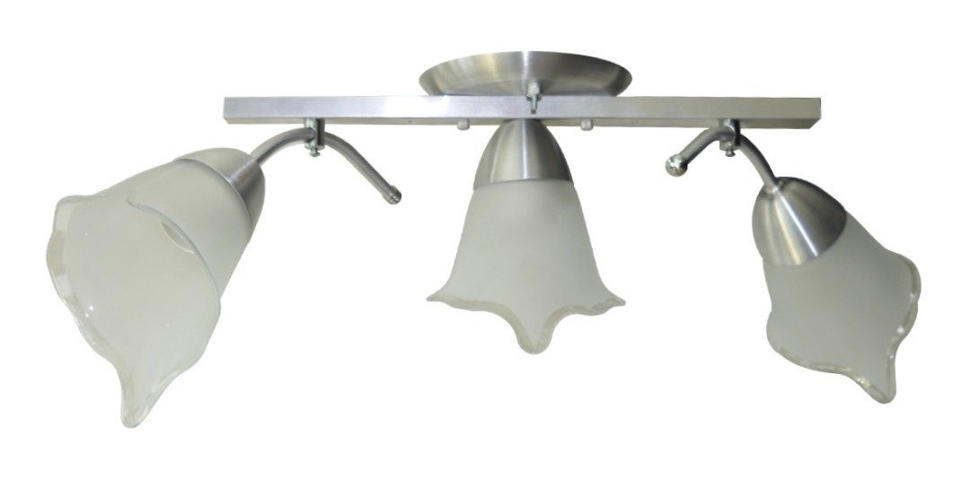 Lustre De Braço Para Sala ou Quarto - 03 Tulipas De Vidro Modelo Flor