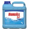 Algicida Manutenção Hcl Hidroall 5l Tampa Azul - 1