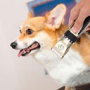 Ver imagem 7 de Kit Máquina Grooming Hair Clipper Cortar Tosar Navalha Pelos Cabelos Pets Dog Cão Animais de Estimaç