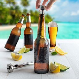 Tubo Bastão para Resfriar Garrafa de Cerveja - 5