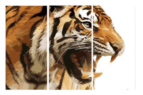 Quadro 70X150cm em Impressão Digital – trio – Tigre Atelier Valverde - 1