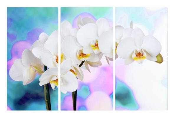 Quadro 70X150cm em Impressão Digital – trio – orquidea branca e rosa Atelier Valverde - 1