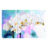 Quadro 70X150cm em Impressão Digital – trio – orquidea branca e rosa Atelier Valverde - 1