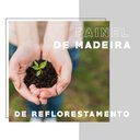 Ver imagem 7 de Armário Utilitário Multiuso 2 Portas Branco Carraro