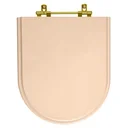Ver imagem 1 de Assento Sanitário Poliéster Carrara Rosa Floral para vaso Deca Com Ferragem Dourada