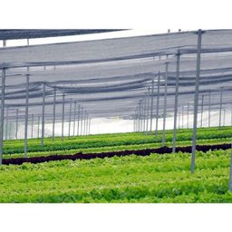 Tela de sombreamento 35% 3,00 de largura x 100 metros - 6