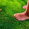 Grama Sintética 25mm Europeia (1m²) EuroGrass® - 3