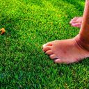 Ver imagem 3 de Grama Sintética 25mm Europeia (6m²) Eurograss ®