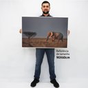 Ver imagem 2 de Quadro Decorativo em Canvas Elefante na Savana TaColado Moldura Flutuante 4,5cm Freijó 90 x 60cm