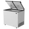 Freezer Horizontal Esmaltec Efh350 2 Portas Branco 350L - 2