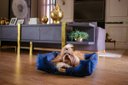 Ver imagem 6 de Cama Quadrada para Cachorro ou Gatos Super Luxo Luppet Azul - G