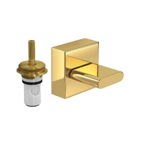 Acabamento para Registro de Pressão 1/2 a 1 -  Polo 4916 GL33 PQ Gold Deca
